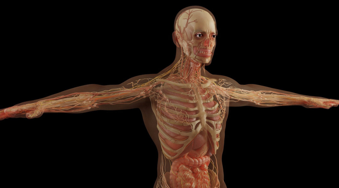 “Bioelectric Technology: Transforming Health Through Understanding the Human Body”